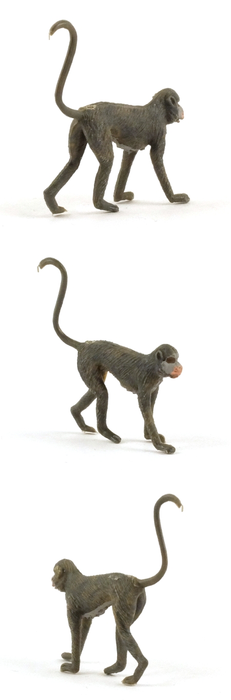 1378 Guenon Monkey