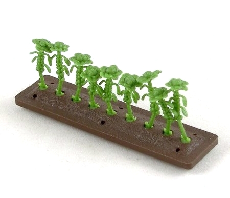 Vegetable Bed with Sprouts