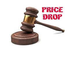 Price Drop Auction