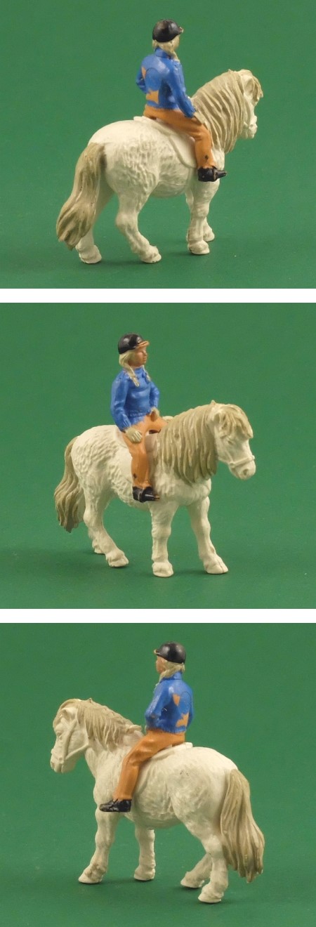 2081 Shetland Pony with girl rider