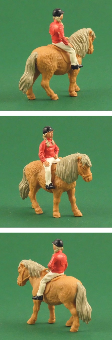 2081 Shetland Pony with girl rider