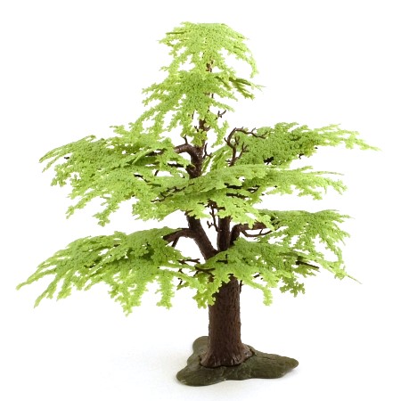 1822 Oak Tree