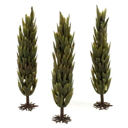 5048 Poplar Trees x 3