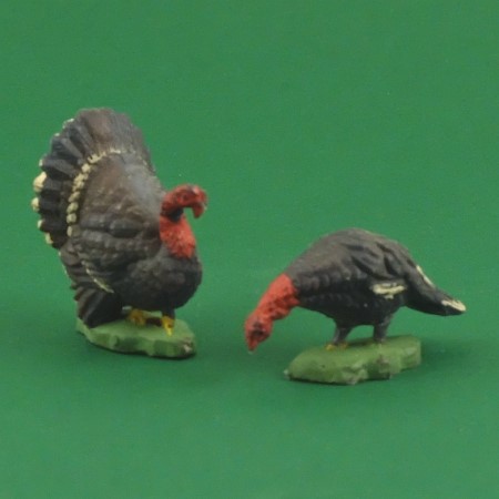 Turkeys, pair
